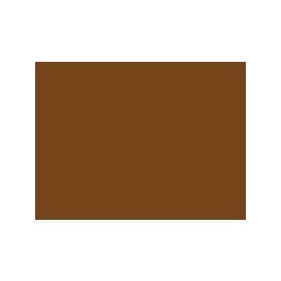 Winsor & Newton Artists' Acrylic Color 60ml Raw Umber 