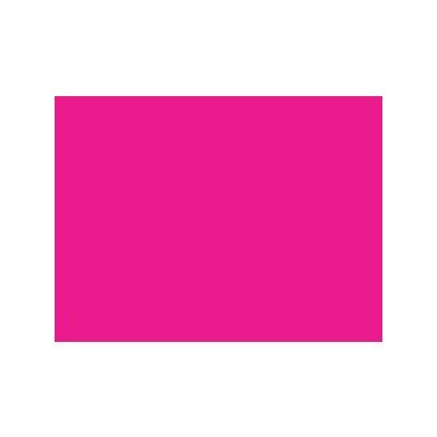 Winsor & Newton Artists' Acrylic Color 60ml Permanent Rose 