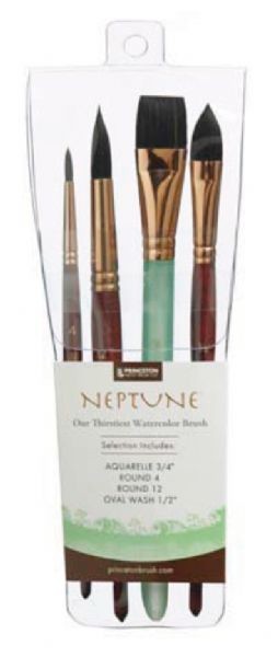Princeton Neptune Professional 4-Piece Set 