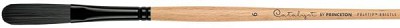 Princeton Catalyst Polytip Bristle Brush Egbert 12 Long Handle 